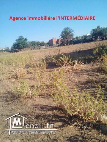 Un terrain  à Njajra - MSAKEN