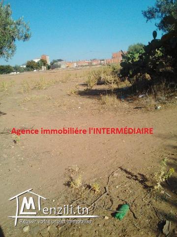 Un terrain  à Njajra - MSAKEN