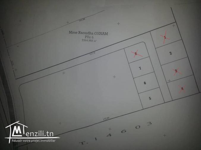 للبيع قطع اراضي مقسمة 120د/م (Forsaa)