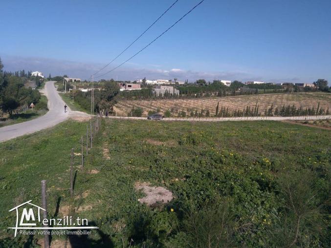 للبيع قطع اراضي مقسمة 120د/م (Forsaa)