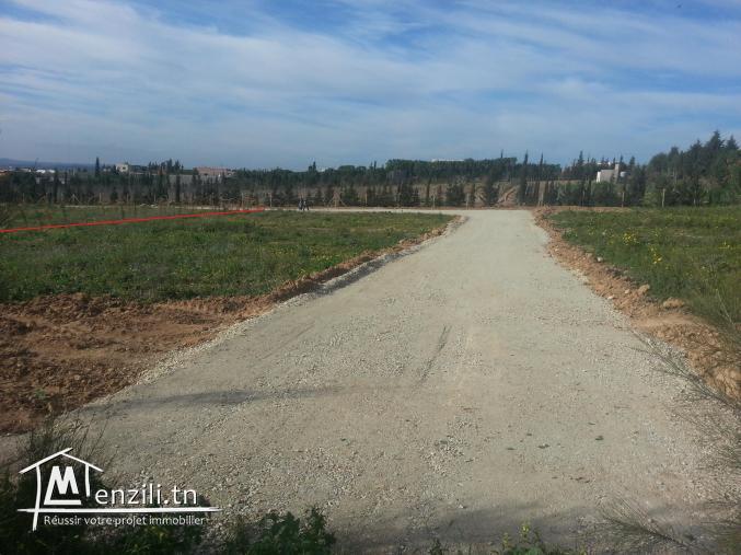 للبيع قطع اراضي مقسمة 120د/م (Forsaa)