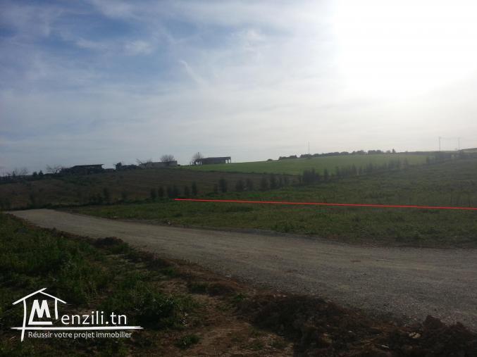 للبيع قطع اراضي مقسمة 120د/م (Forsaa)