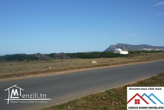 Des lots de terrain a la mer de 150m2 ou plus