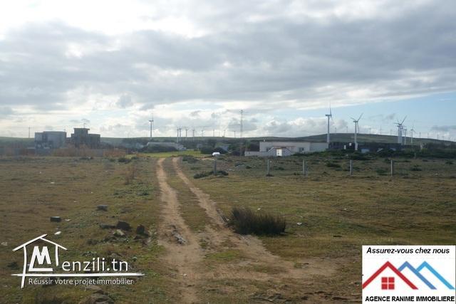 Des lots de terrain a la mer de 150m2 ou plus