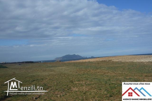 Des lots de terrain a la mer de 150m2 ou plus