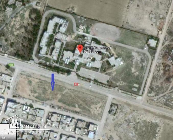 Terrain nu en face de CSFTH et à 1km de la plage Salloum