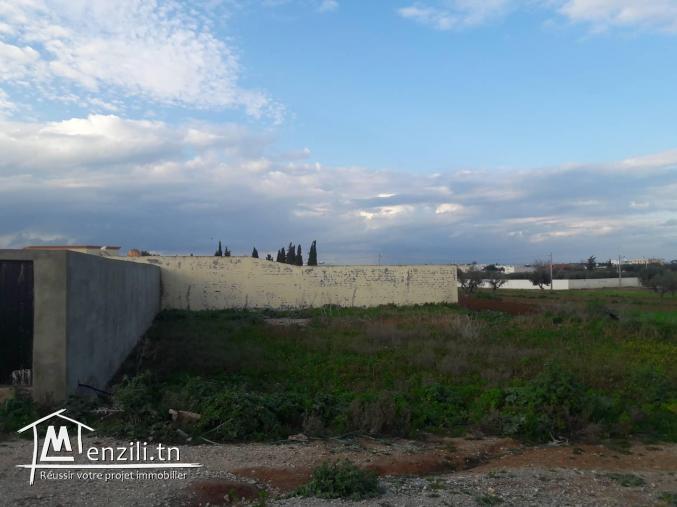 A vendre un terrain à 5mn du centre commercial Géant avec accès direct Bricorama