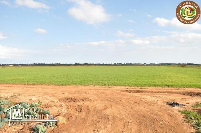 Magnifique terrain d'agriculture