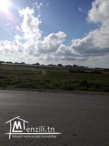 terrain a vendre sur la route principale a la plage ain grinz