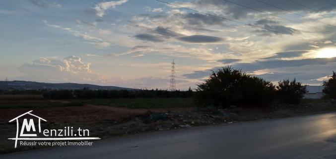 Terrain à usage d’habitation à Oued Ellil