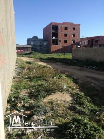 terrain zone calme cité kelibia prés salle de fetes amira