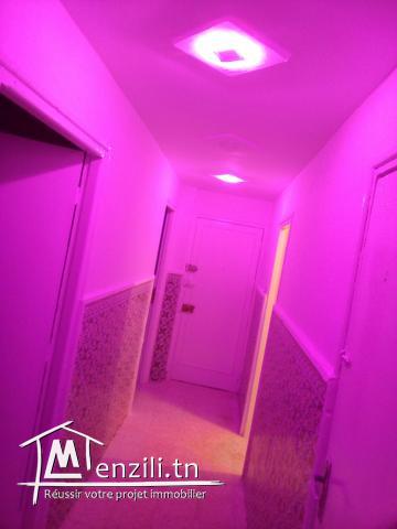 a vendre un appartement type SNIT