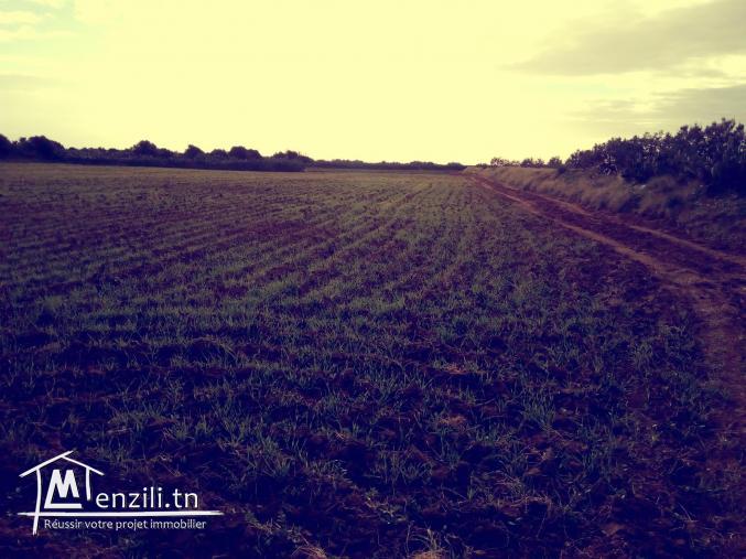 A vendre : Terrain Agricole (7 Hectares)