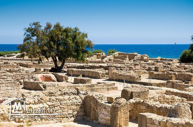 terrain zone calme a la plage kerkouane