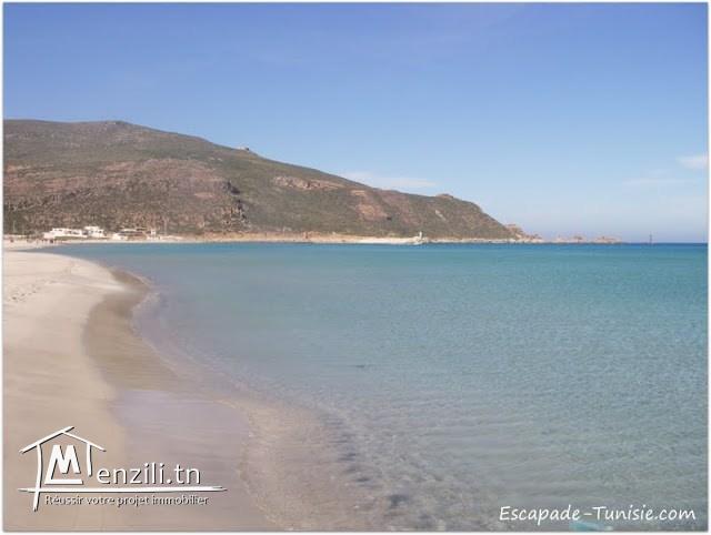 terrain zone calme a la plage kerkouane