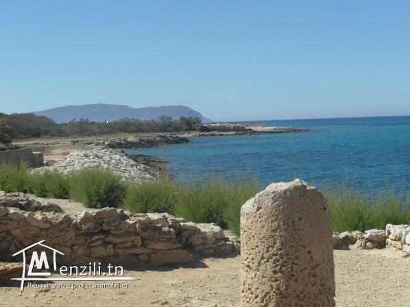 terrain zone calme a la plage kerkouane