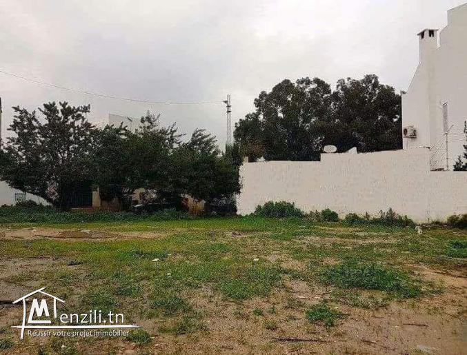 Terrain idéal pour villa papiers en règles