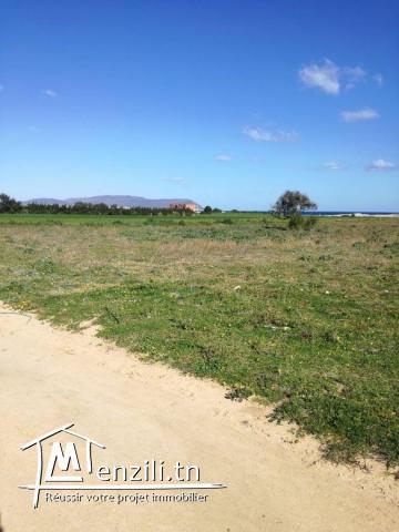 terrain 250m a la plage kerkouanbe