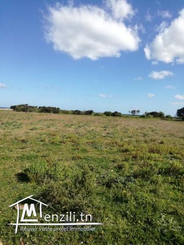 terrain 250m a la plage kerkouanbe