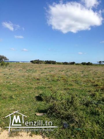 terrain 250m a la plage kerkouanbe