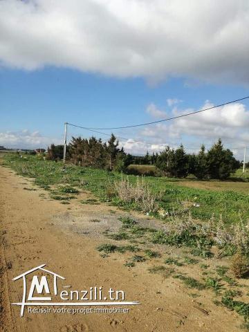 terrain route principale a la plage ain grinz