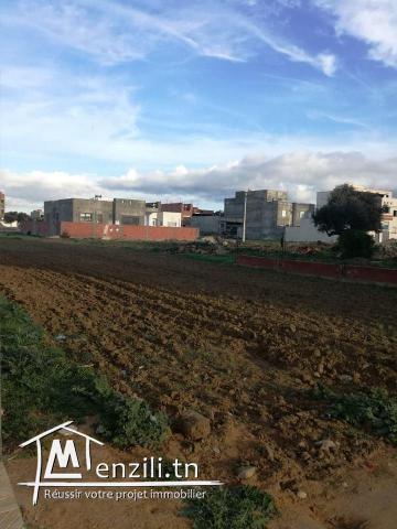 أرض في حي رياض قليبية