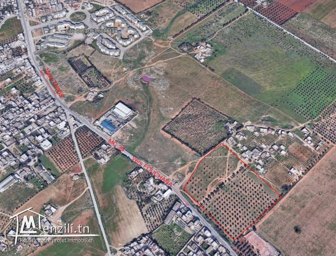 Terrain à Sidi Hassine pour promoteurs