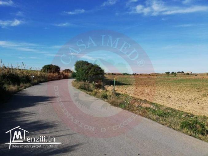 #Vente #terrain #vue_sur_mer #El_Haouaria #Kelibia