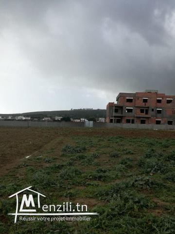 terrain 250m a la plage zahra kelibia