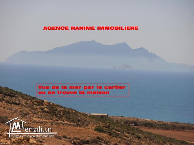 Maison nouvellement construite a el haouaria