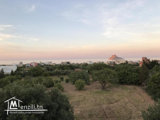 Terrain 4 min à pieds  de la mère à raf raf plage
