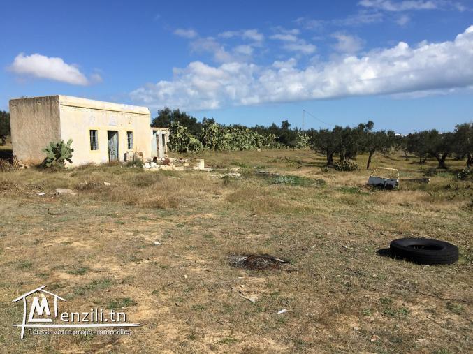 A vendre Terrain a Kalaa Kebira