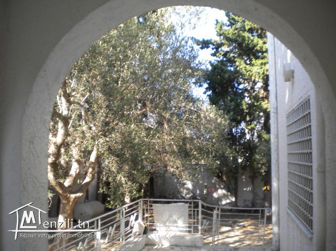 Une villa à Hammamet Nord de 300 m² sur un terrain de 1287 m²