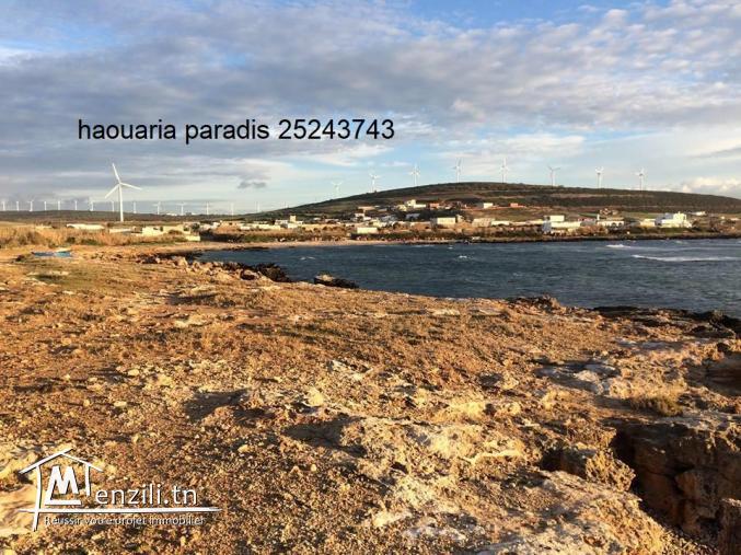 Terrain a vendre a el haouaria 60m de la mer