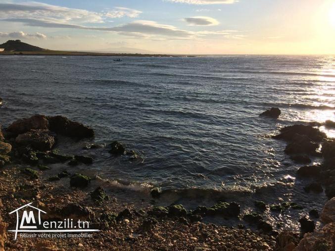 Terrain a vendre a el haouaria 60m de la mer