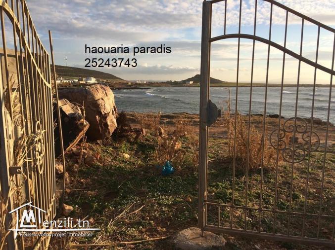 Terrain a vendre a el haouaria 60m de la mer