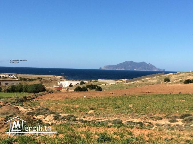 Terrain a vendre vue de mer  et de nature photo réel 25243743