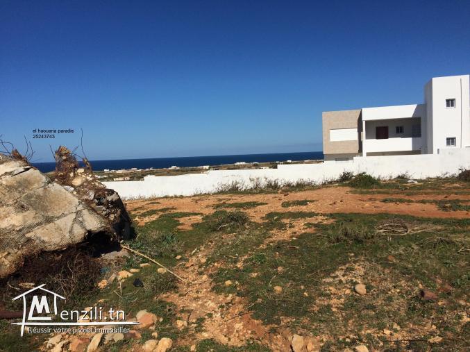 Terrain a vendre vue de mer  et de nature photo réel 25243743