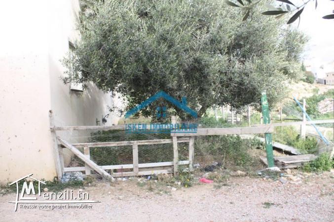 une maison à vendre pas loin du centre ville Hammamet