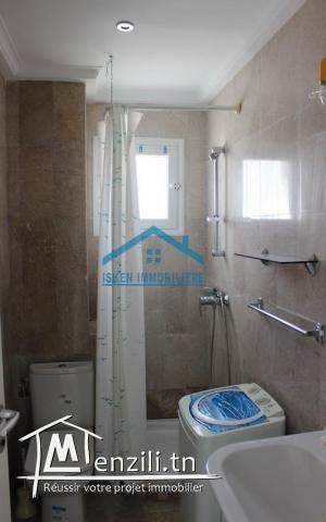 un luxueux appartement a vendre