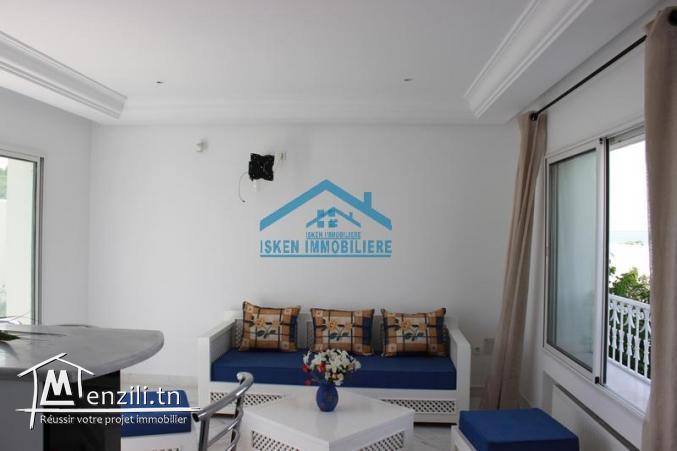 un luxueux appartement a vendre