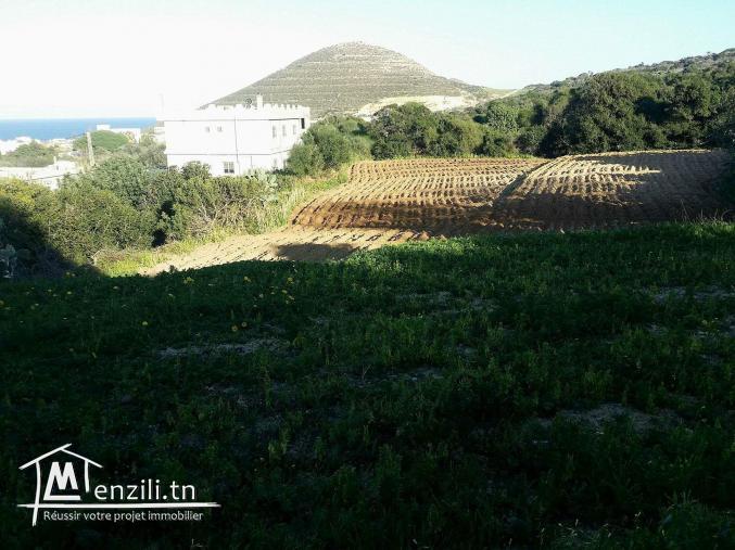 terrain à vendre prés de la mer à Sounine