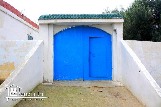 une jolie maison avec studio a vendre