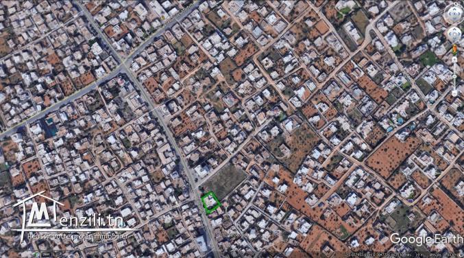 Lot de terrain rue principale El Ain km 4