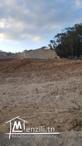 Terrain à Jaafar2