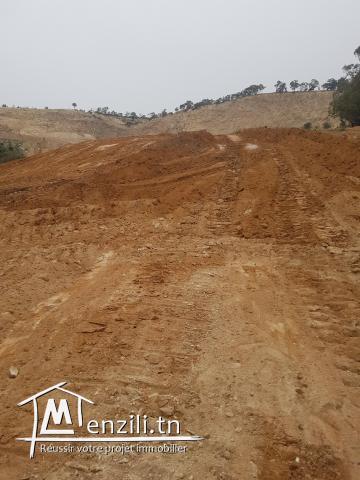Terrain à Jaafar2