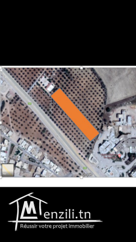 Vente d'un terrain à Zaghouan ville