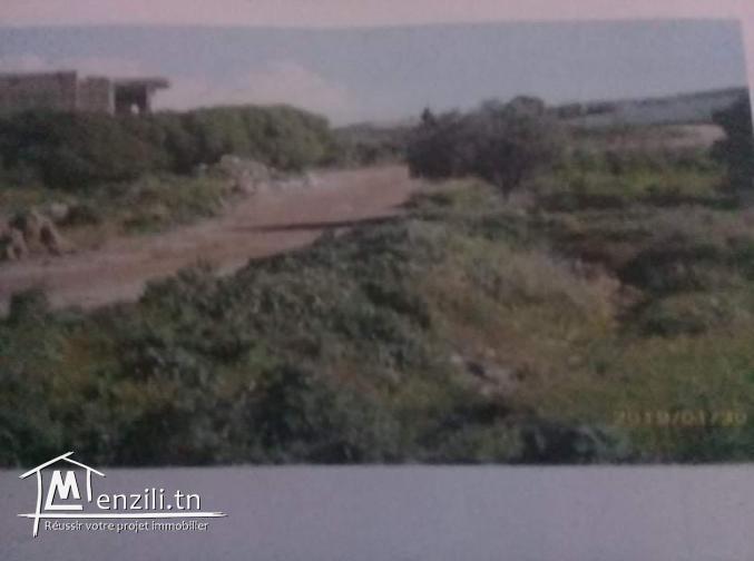 Lots de terrains de 392 m2, 521 m2, 1000 m2 et 1521 m2 à proximité de géant et cebelet ben ammar