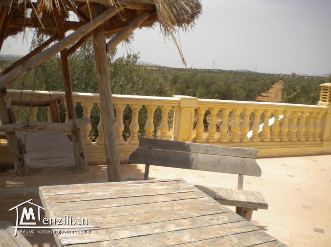 20 ha à 1 500 000 DT