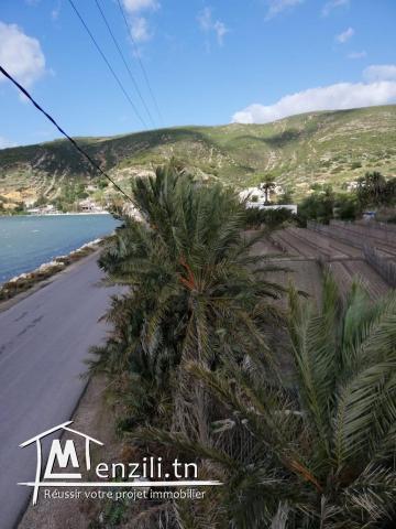 terrain a Ghar Elmelh